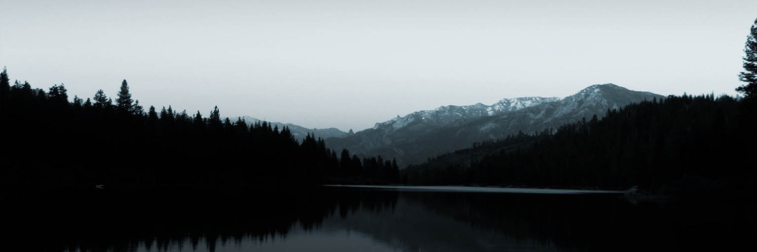 免费电话轰炸机