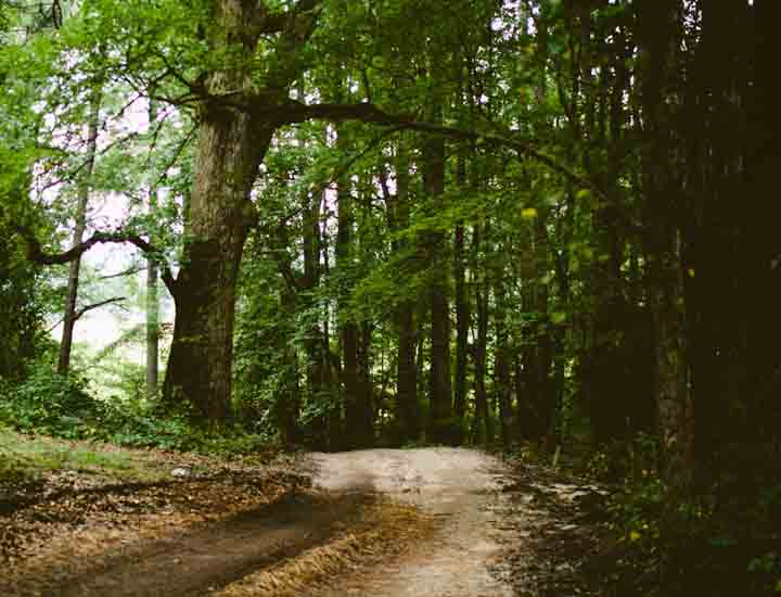 激活中心快速的呼叫软件天天呼