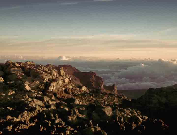 免费手机号轰炸