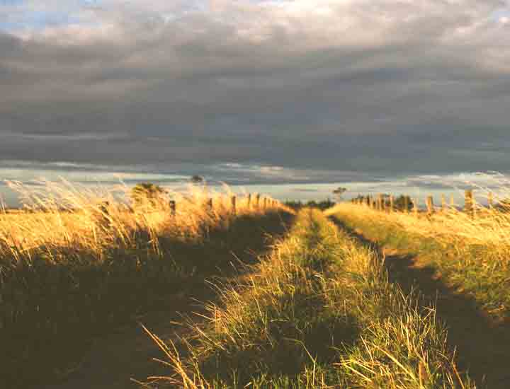 免费手机号轰炸